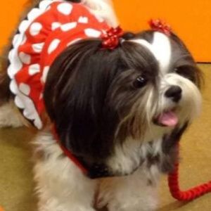 Meet your Posher, Jaclyn